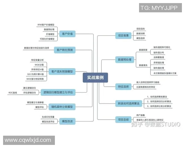 电竞数据深度分析FPX战队反击战术的核心要素与实战应用